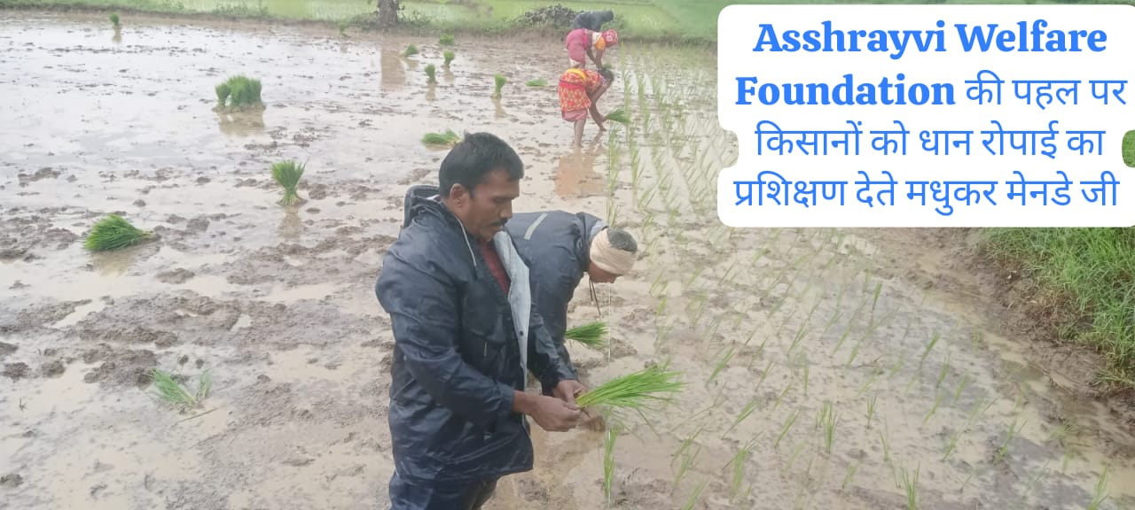 किसानों को धान रोपाई का प्रशिक्षण देते हुए श्री मधुकर मेनडे